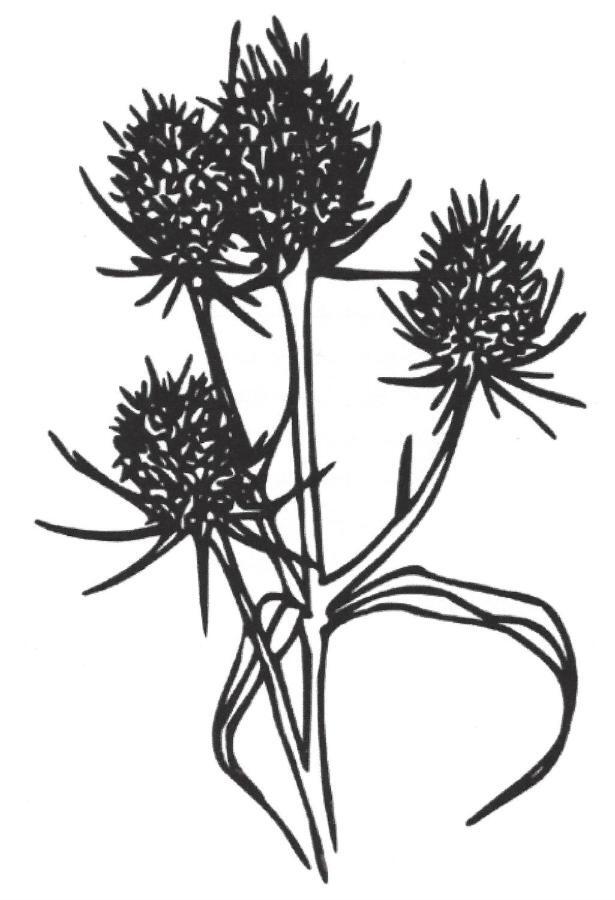 Bauernhof Diestel Oldau 외부 사진